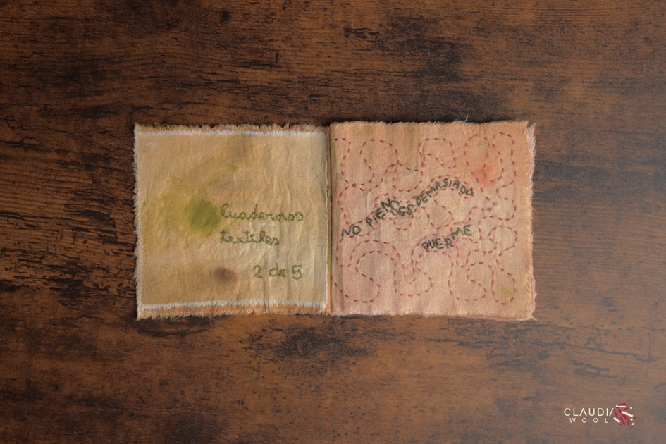 Pag 2-3 Cuaderno textil Nº2 Claudia Wool - artista textil