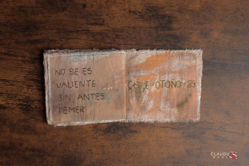 pag 14-15 Cuaderno textil Nº3 Claudia Wool - artista textil