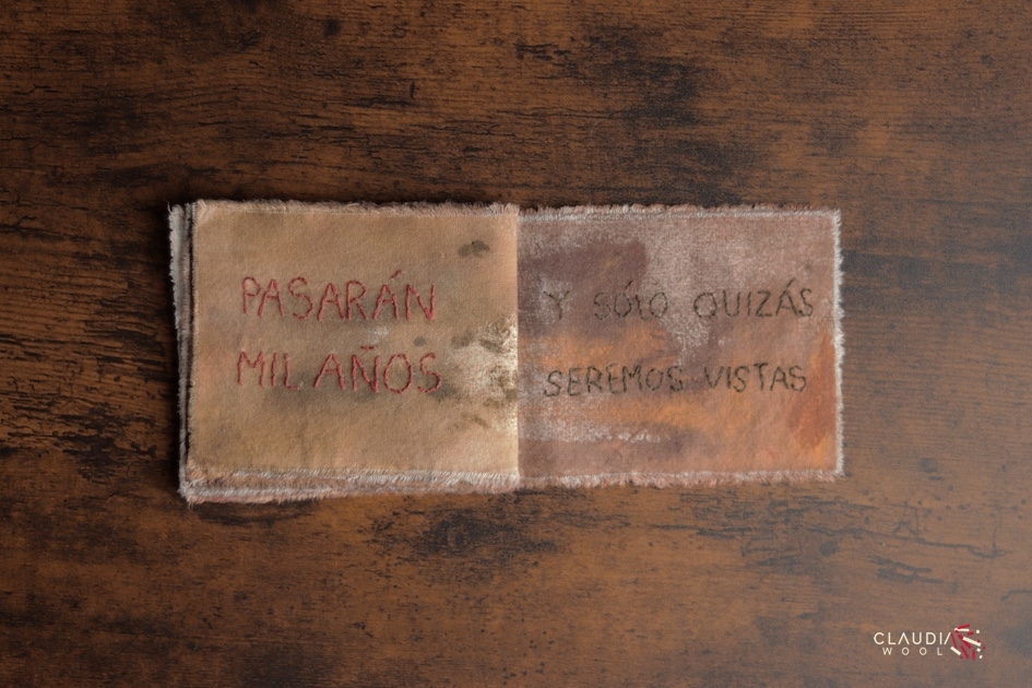 pag 14-15 Cuaderno textil Nº4 Claudia Wool - artista textil