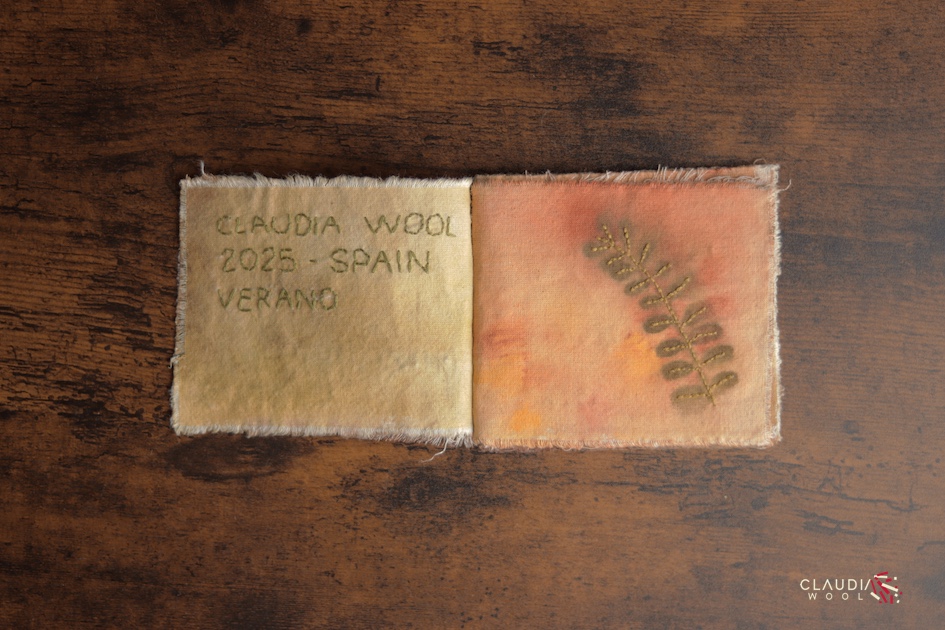 pag 2-3 Cuaderno textil Nº5 Claudia Wool - artista textil