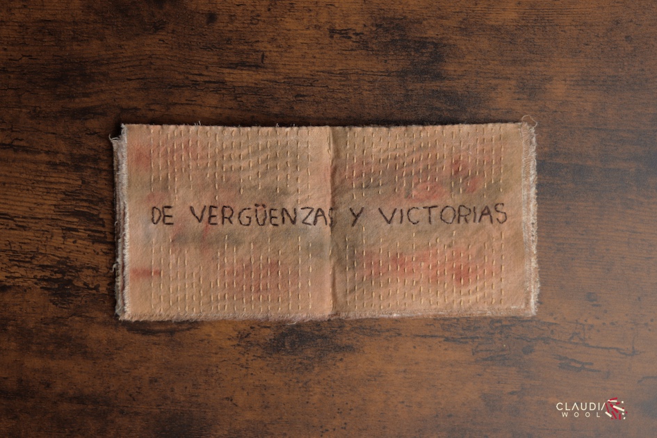 pag 8-9 Cuaderno textil Nº5 Claudia Wool - artista textil